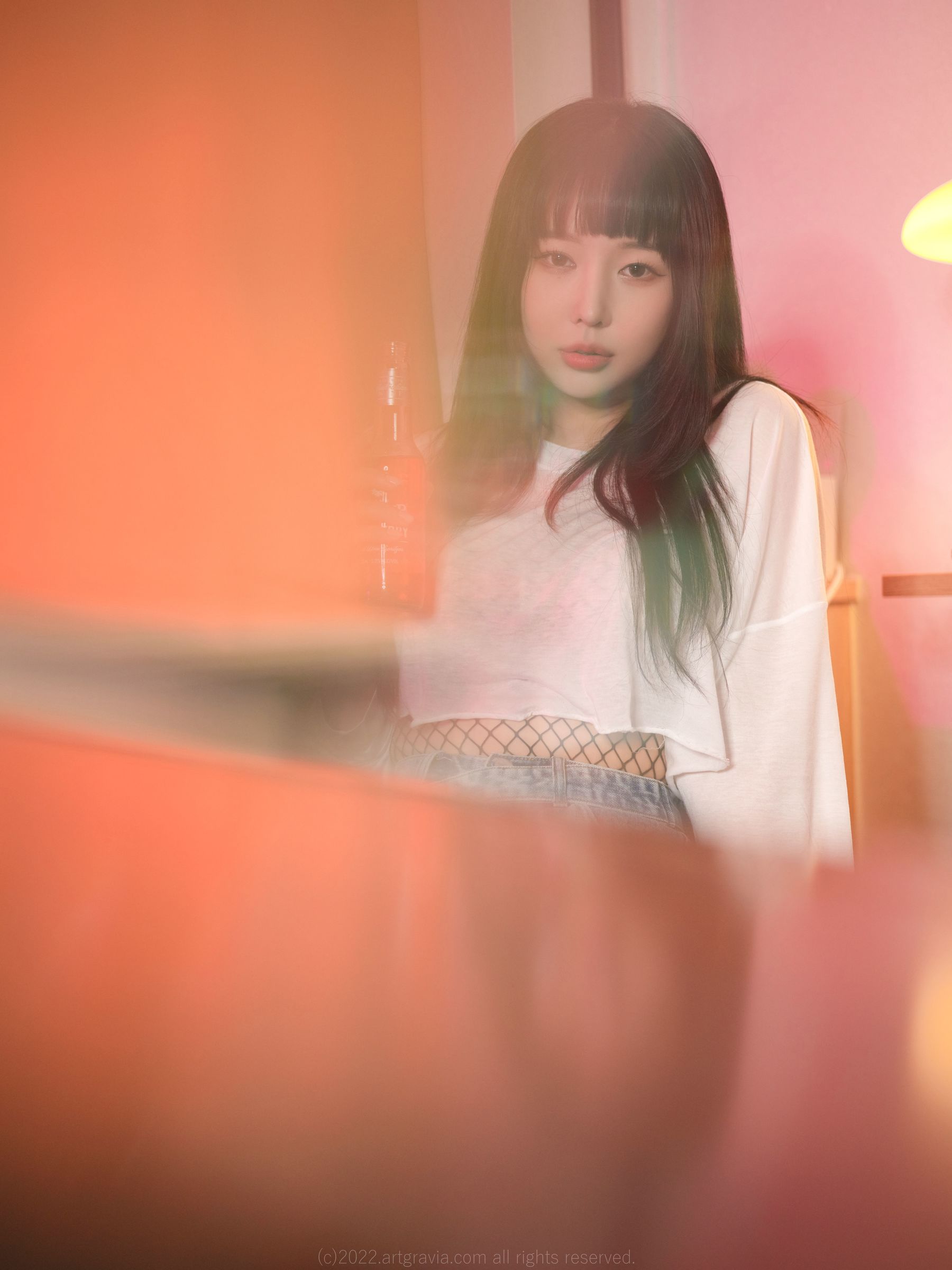[ARTGRAVIA] VOL.413 Parkhaag [80P]-lcoser