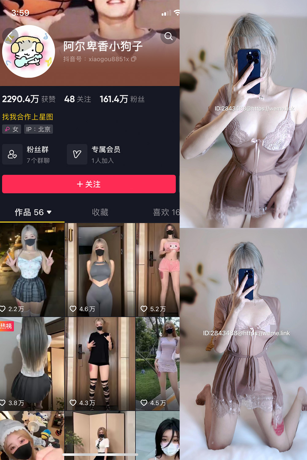 抖音 阿尔卑香小狗子 微密圈  NO.007期 【15P】-lcoser