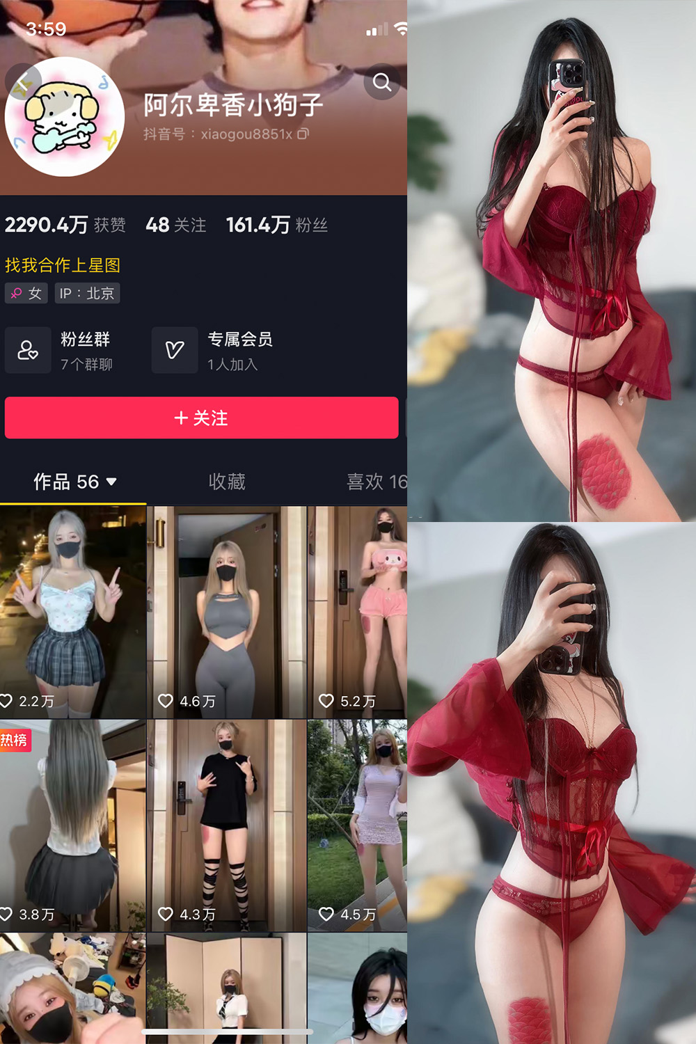抖音 阿尔卑香小狗子 微密圈  NO.004期 【10P2V】-lcoser