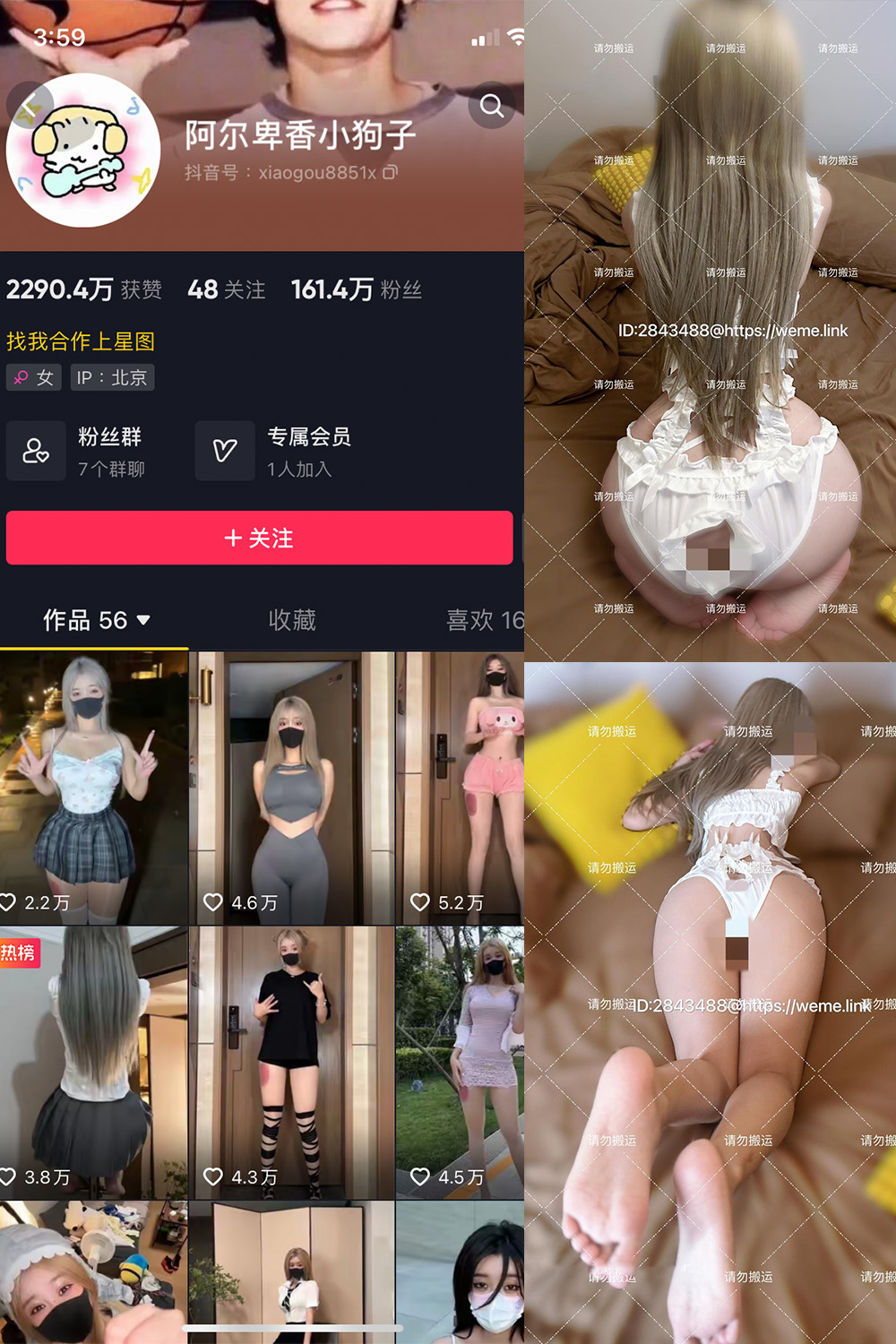 抖音 阿尔卑香小狗子 微密圈  NO.002期 【16P1V】-lcoser